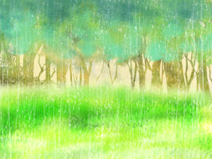 幻想的な雨の森のイメージ